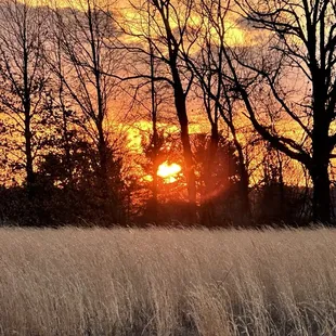 Sunrise