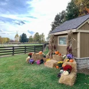 Very nice seasonal display to look at or take some pictures with. Oct 2022  #UpCloseSavor