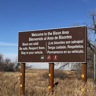 Bison area ahead!