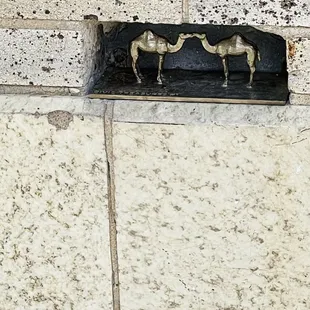 Kissing camels remind you to look around.