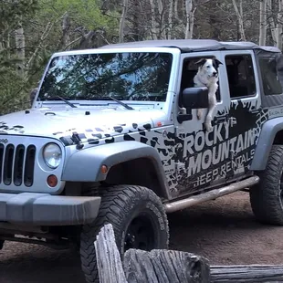 4 dr wrangler on trail