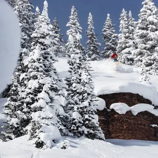 RMU Deep, demo our North American crafted skis. S: Cynthia Johnson | P: Bjorn Bauer Photo