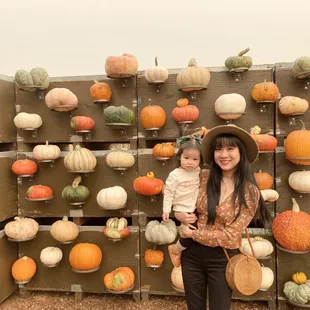 Lots of different and interesting gourds!