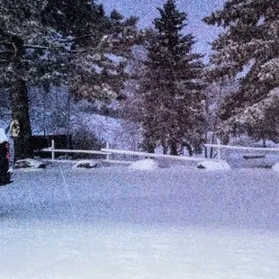 Parking lot view of trees and snow from our room#2