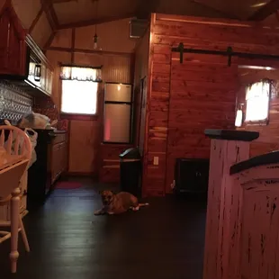 Kitchen, bathroom, dining table.