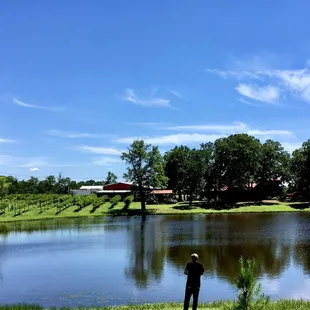 The pond behind the cabins