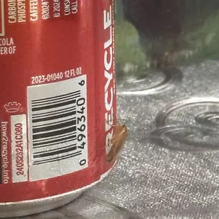 a cucaracha