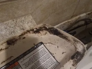 Bushwood Country Club