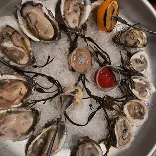 Oysters on the Half Shell