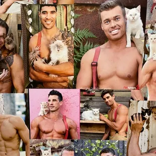 a collage of photos of a man holding a cat