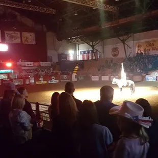a horse and rider performing a stunt