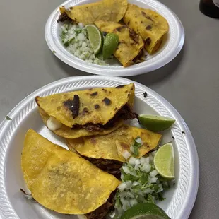 5 QUESABIRRIA TACOS SOOOO GOODDDD!