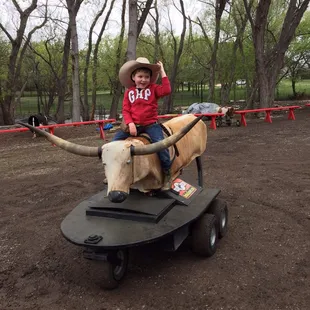 Howdy Partner!