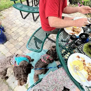 Our dog-friendly table on the comfortable and quaint patio.