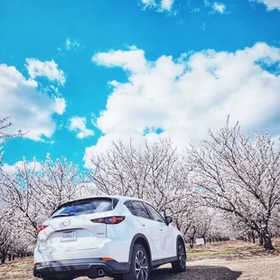 a white car parked in a field