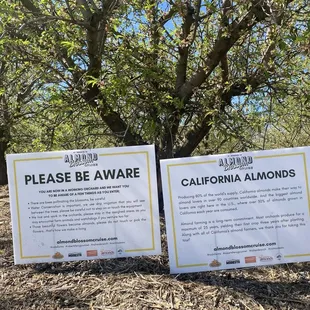 California almonds.