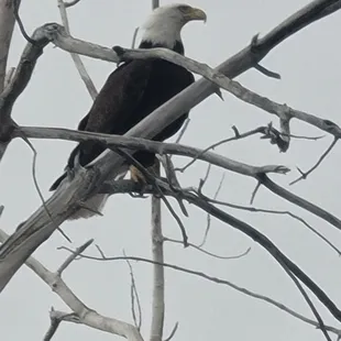outside, sushi and sashimi