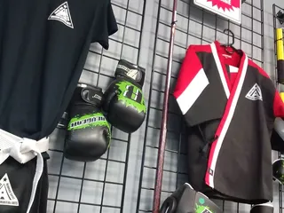 American Martial Arts Academy