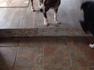 Lowe's Home Improvement