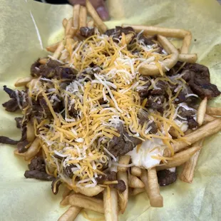 Carne asada fries