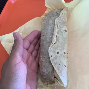 Carne asada burrito. It's huge.