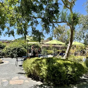 a patio with tables and umbrellas