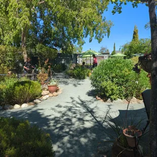 a path through a garden