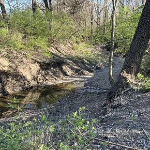 Creekside Trails