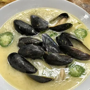 Mussels steamers