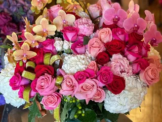 Laura Carrillo Designs