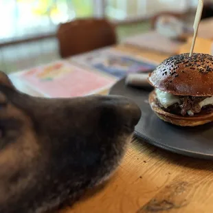 Cheese burger, with caramelized onions. No veggies. He likes it medium rare.
