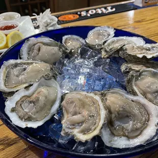 Oysters on the half shell