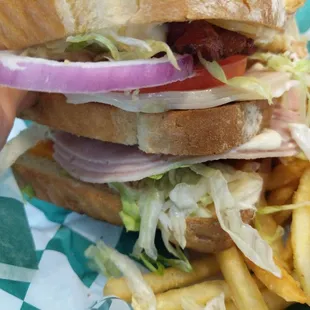 a sandwich and french fries