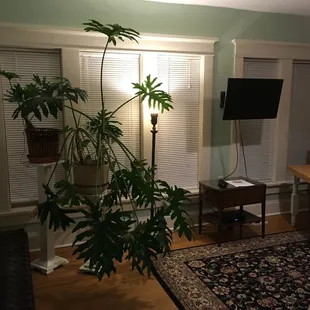 Sun room (at night).