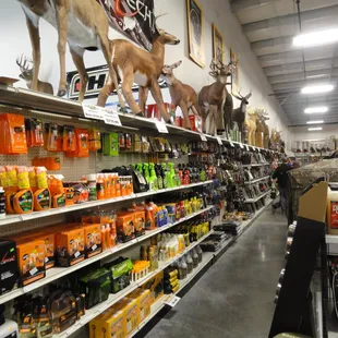 It's Aladdins Cave in here....