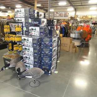 Honkers keeping guard...