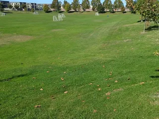 DeBenedetti Park