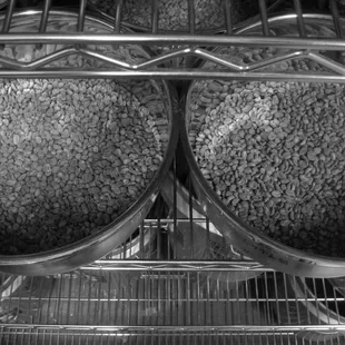 Green beans in line for roasting.