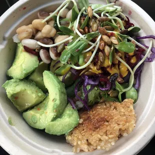 Daily Vegan Feast + Avocado