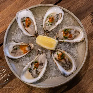 oysters and mussels, shellfish, oysters, mussels, food