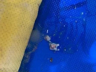 El Duende Party Supply