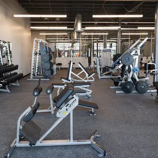 7,000 sq ft fitness area with weights and full second story of cardio equipment