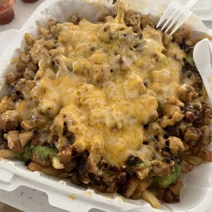 Pollo Asada fries