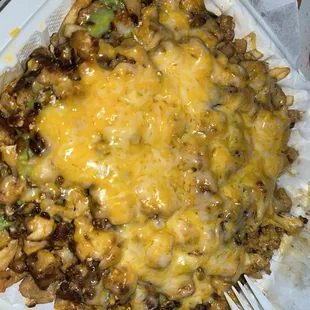 Pollo Asada fries