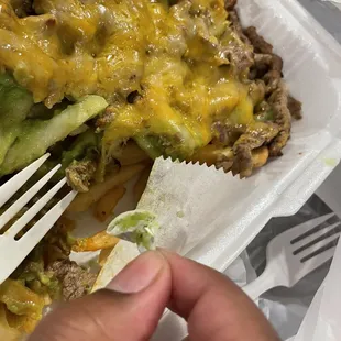 Carne asada fries