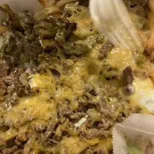 Carne Asada Fries.