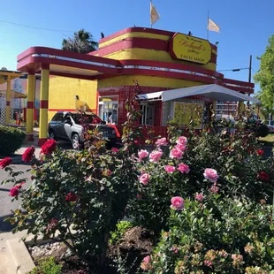 salads, outside