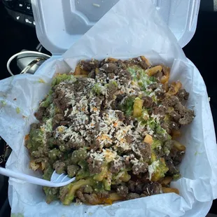 Carne asada fries