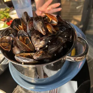 Mussels