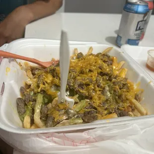 Skimpy portions for $15 carne asada fries